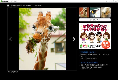 【画像】画像拡大ページ・画像一覧ページの表示方法が変わります