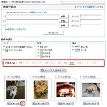 スタッフブログ