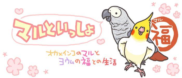 【vol.4】今週のおすすめ公式トップブロガーは？かんみさん、他4名の紹介です
