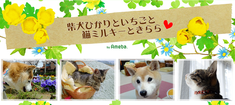 ぴろこさんのブログ画像とカレンダー発売ページ