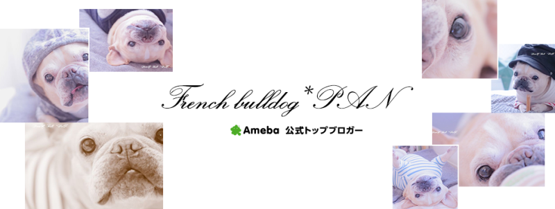 【vol.2】今週のおすすめ公式トップブロガーは？PANさん、他4名の紹介です