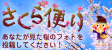 kikaku
