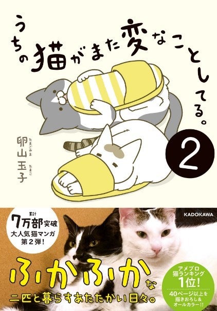 10月27日発売の書籍「うちの猫がまた変なことしてる。２」をご紹介！