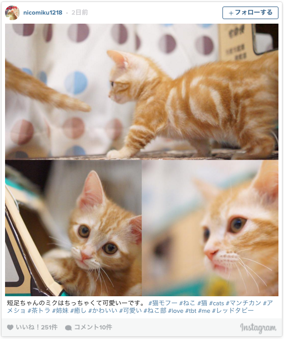 【結果発表】#love で Instagram投稿キャンペーン