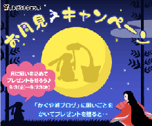 スタッフブログ