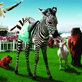 racing_stripes