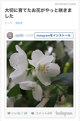 ブログが毎日続けられない！そんなときは「Instagram連携」、試してみませんか？